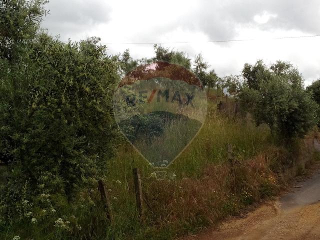 Terreno à venda em Sertã
