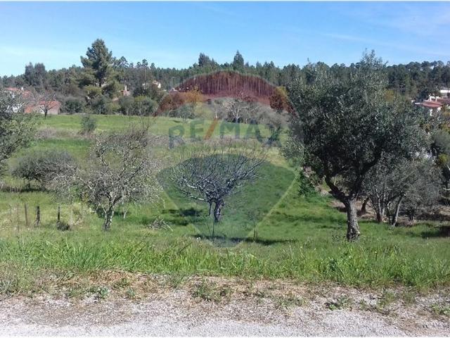 Terreno à venda em Sertã