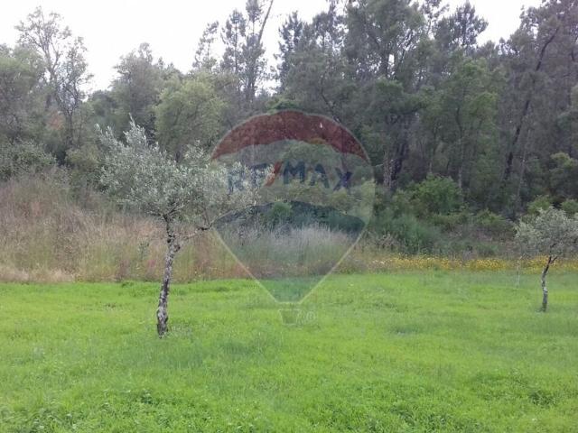 Terreno à venda em Sertã