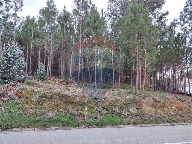 Terreno à venda em Sertã