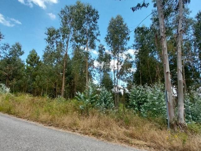 Terreno à venda em Sertã