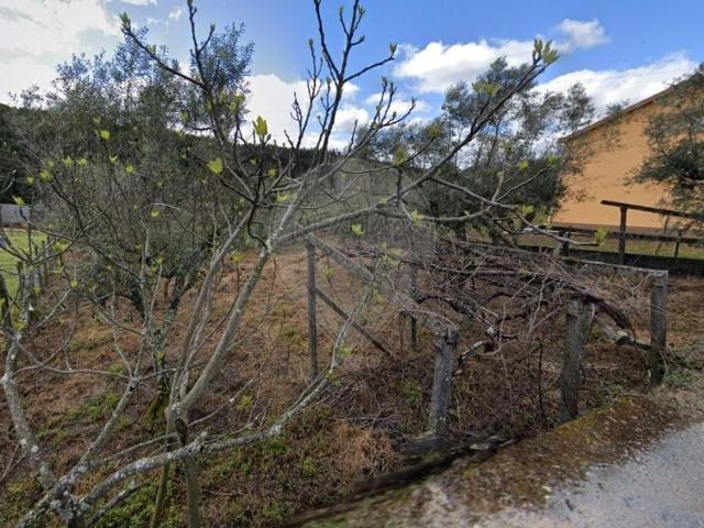 Terreno à venda em Sertã