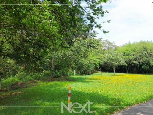 terreno à venda em Sítios de Recreio Gramado