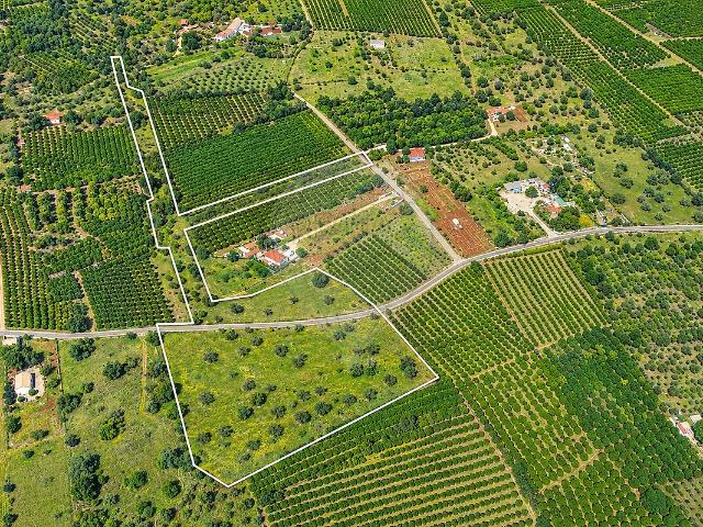 Terreno à venda em Silves, Silves RE/MAX Portugal