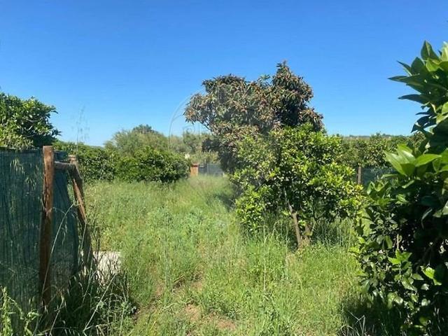 Terreno à venda em Silves, Silves RE/MAX Portugal