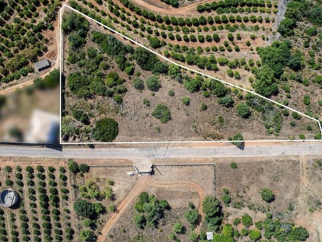 Terreno à venda em Silves, Silves RE/MAX Portugal