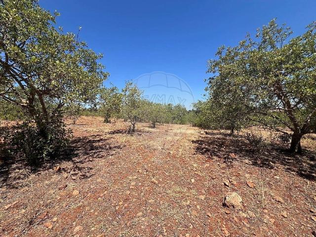 Terreno à venda em Silves, Silves RE/MAX Portugal