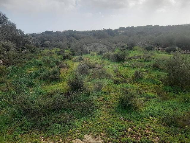Terreno à venda em Silves, Silves RE/MAX Portugal