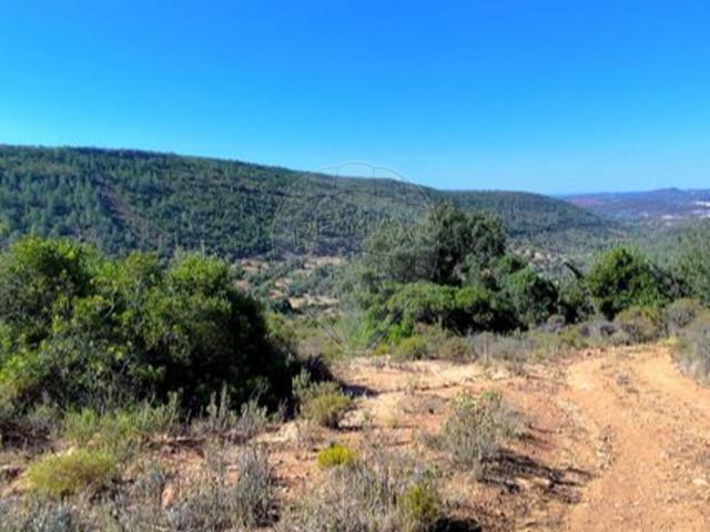 Terreno à venda em Silves