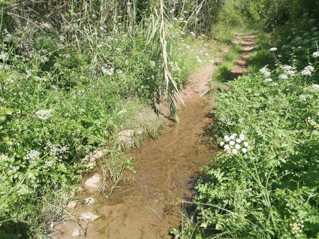 Terreno à venda em São Bartolomeu de Messines, Silves RE/MAX Portugal