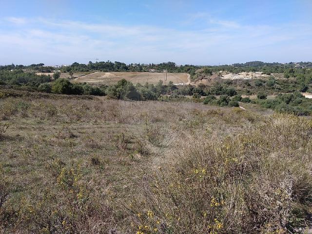 Terreno à venda em Sintra Santa Maria e São Miguel, São Martinho e São Pedro de Penaferrim, Sintra RE/MAX Portugal