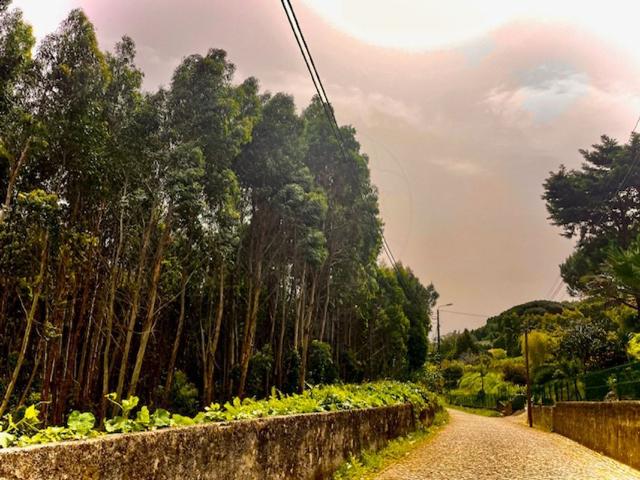 Terreno à venda em Sintra Santa Maria e São Miguel, São Martinho e São Pedro de Penaferrim, Sintra RE/MAX Portugal