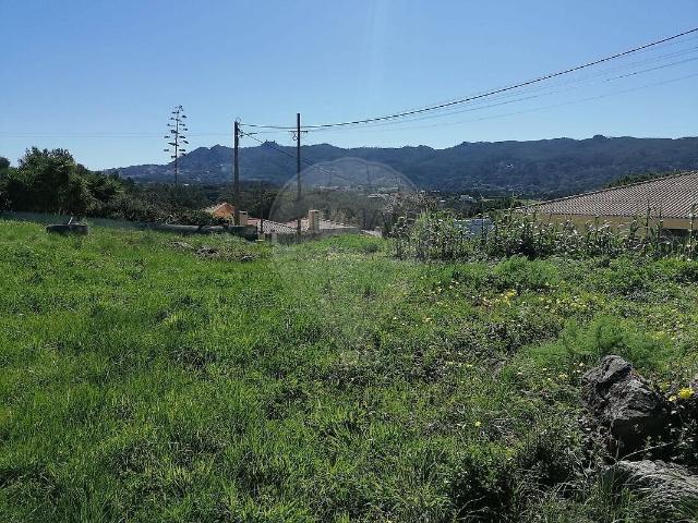 Terreno à venda em Sintra Santa Maria e São Miguel, São Martinho e São Pedro de Penaferrim, Sintra RE/MAX Portugal