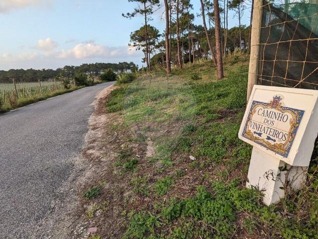 Terreno à venda em Sintra Santa Maria e São Miguel, São Martinho e São Pedro de Penaferrim, Sintra RE/MAX Portugal