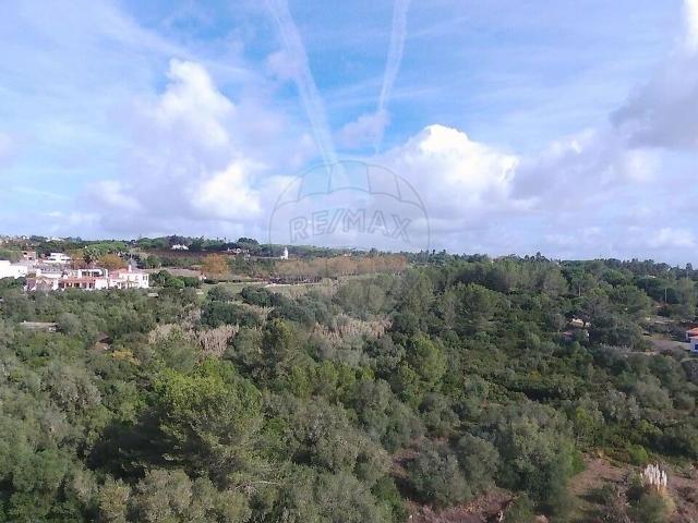 Terreno à venda em Sintra Santa Maria e São Miguel, São Martinho e São Pedro de Penaferrim, Sintra RE/MAX Portugal