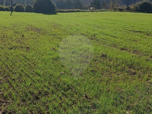 Terreno à venda em Sintra