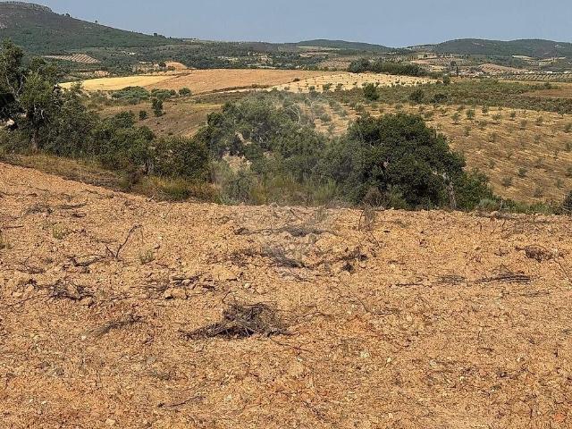 Terreno à venda em Suçães, Mirandela RE/MAX Portugal