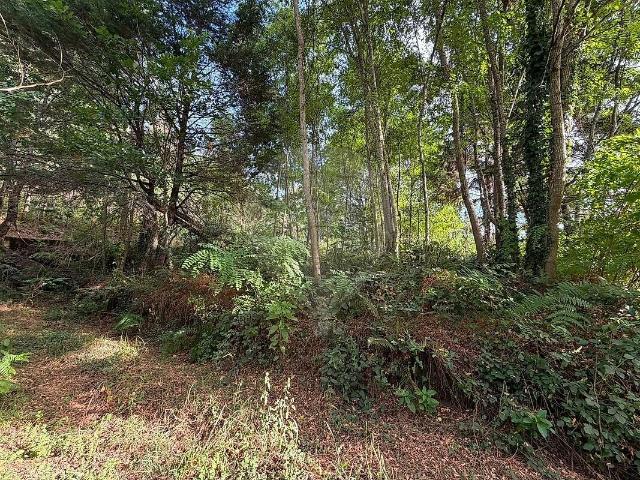 Terreno à venda em Sul, São Pedro do Sul RE/MAX Portugal