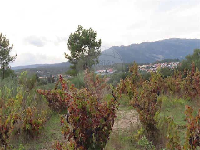 Terreno à venda em Póvoa de Atalaia e Atalaia do Campo, Fundão RE/MAX Portugal