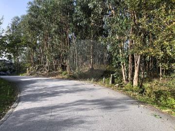 Terreno à venda em Póvoa de Lanhoso