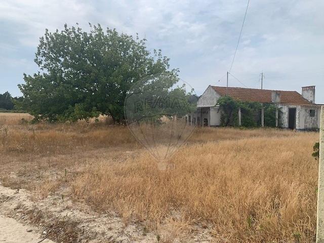 Terreno à venda em Poceirão e Marateca, Palmela RE/MAX Portugal