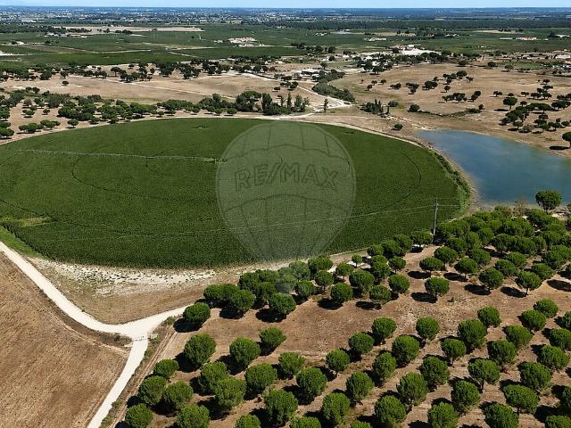 Terreno à venda em Poceirão e Marateca, Palmela RE/MAX Portugal