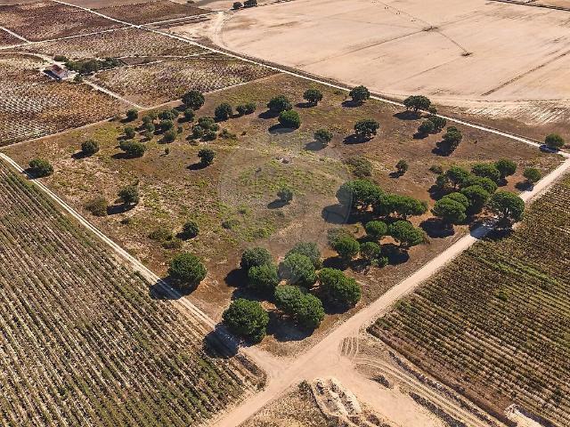 Terreno à venda em Poceirão e Marateca, Palmela RE/MAX Portugal