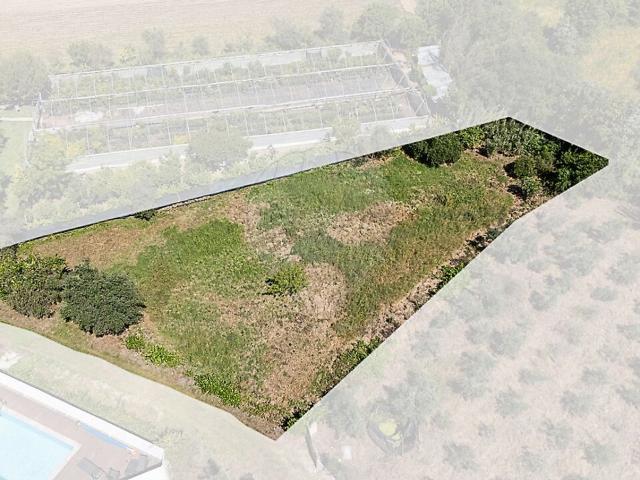 Terreno à venda em Poiares Santo André, Vila Nova de Poiares RE/MAX Portugal