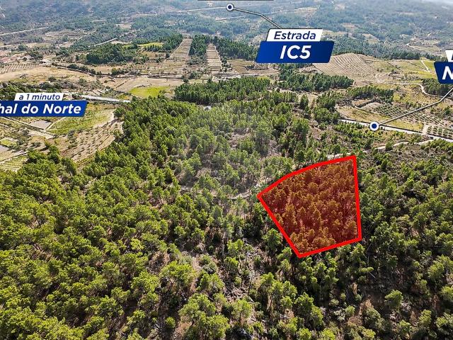 Terreno à venda em Pombal, Carrazeda de Ansiães RE/MAX Portugal