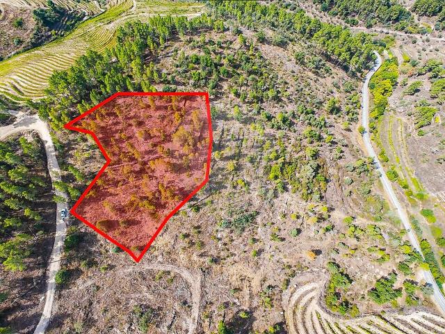 Terreno à venda em Pombal, Carrazeda de Ansiães RE/MAX Portugal