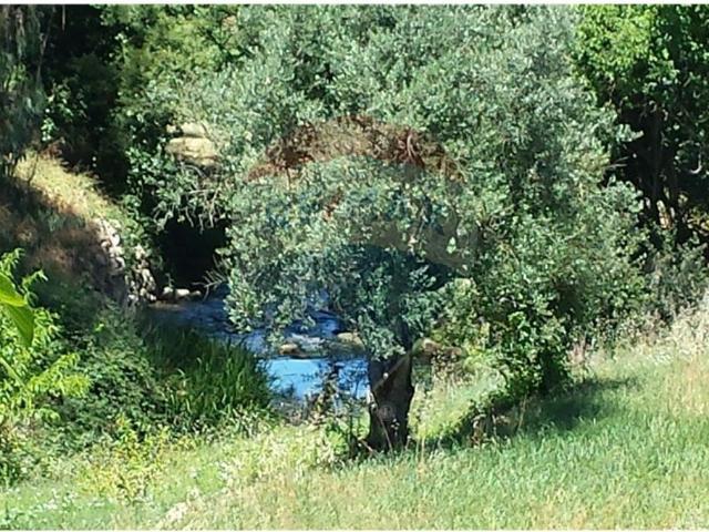 Terreno à venda em Pombal, Pombal RE/MAX Portugal