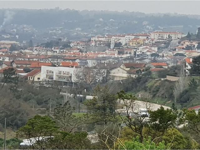 Terreno à venda em Pombal, Pombal RE/MAX Portugal