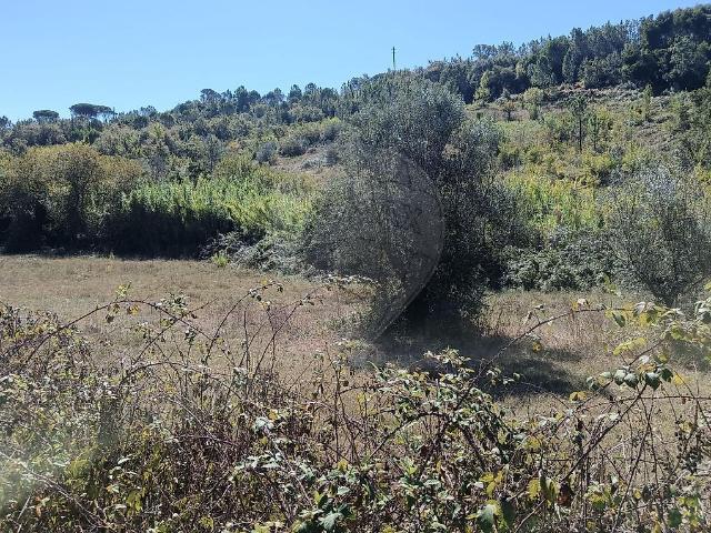 Terreno à venda em Pombal, Pombal RE/MAX Portugal