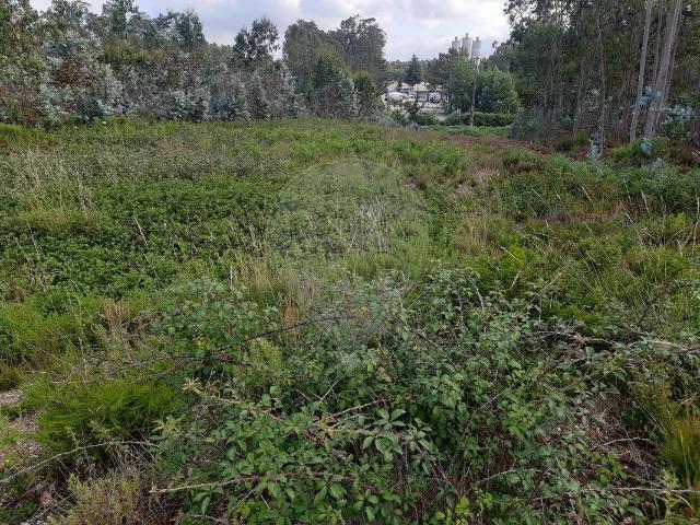 Terreno à venda em Pombal