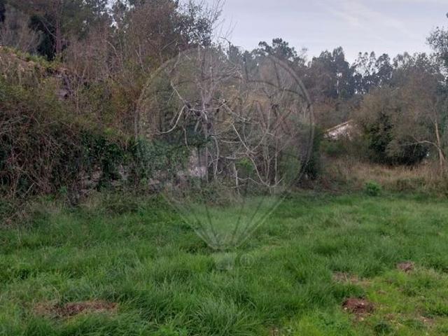 Terreno à venda em Pombal