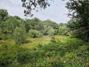 Terreno à venda em Pombal