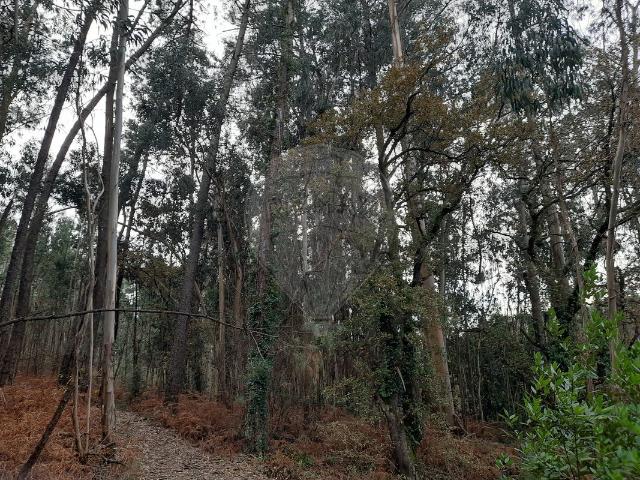 Terreno à venda em Pombal