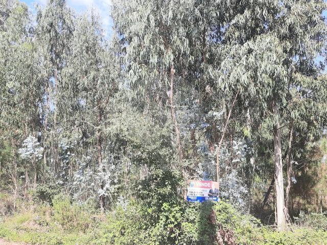 Terreno à venda em Pombal