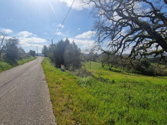 Terreno à venda em Pombal