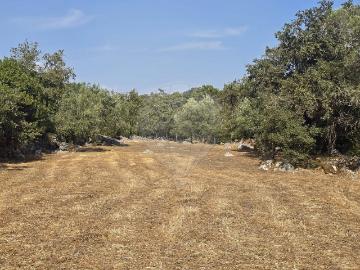 Terreno à venda em Pombal