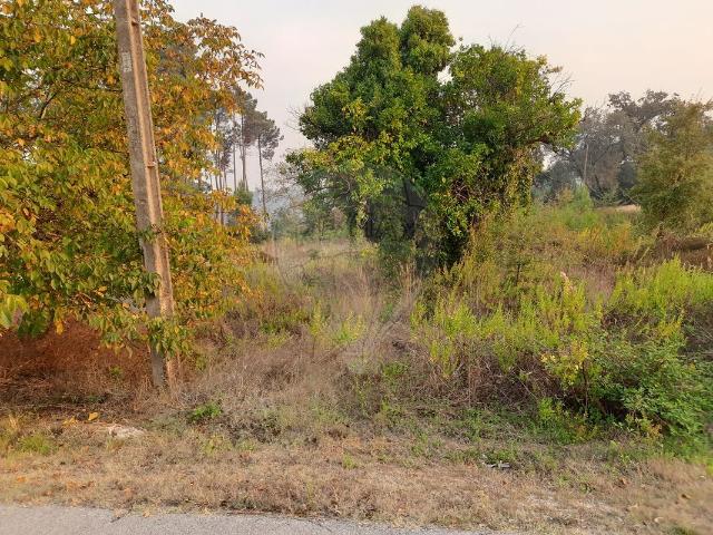 Terreno à venda em Pombal