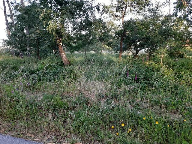 Terreno à venda em Pombal