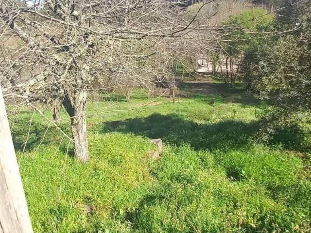 Terreno à venda em Pombal