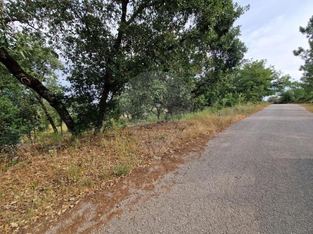 Terreno à venda em Pombal