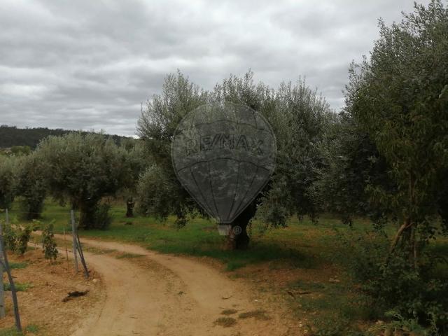 Terreno à venda em Pombal