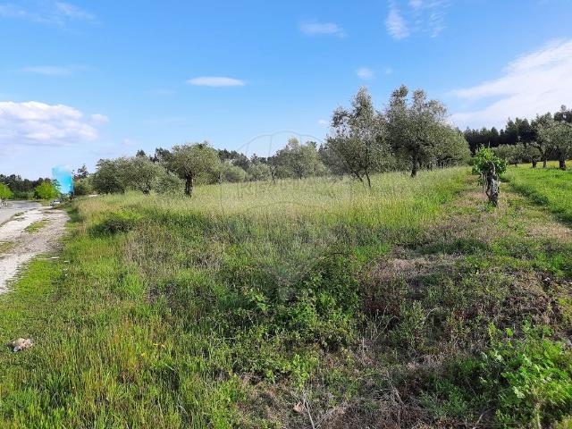 Terreno à venda em Pombal