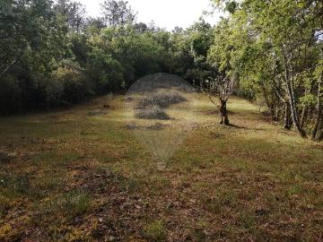 Terreno à venda em Pombal