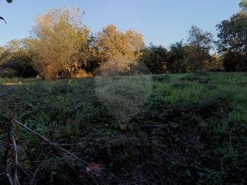 Terreno à venda em Pombal