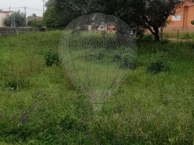 Terreno à venda em Pombal