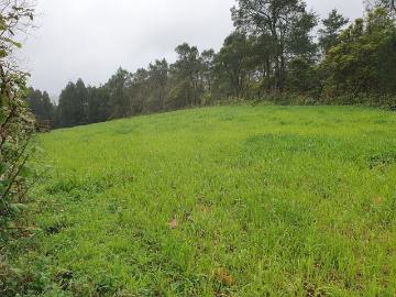 Terreno à venda em Ponta Delgada